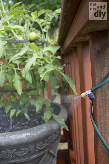 how to install a micro irrigation system to keep your hanging baskets and container, container gardening, gardening, Tomato plants herbs and any other container plants you have will benefit from a micro irrigation system