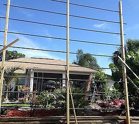 monster trellis for monster vine, diy, gardening, how to, outdoor living, woodworking projects, Another angle