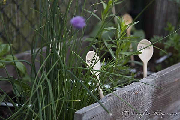 fun garden markers and plant support in my vegetable garden, gardening, Herbs are perfect plants for a square foot garden they thrive there