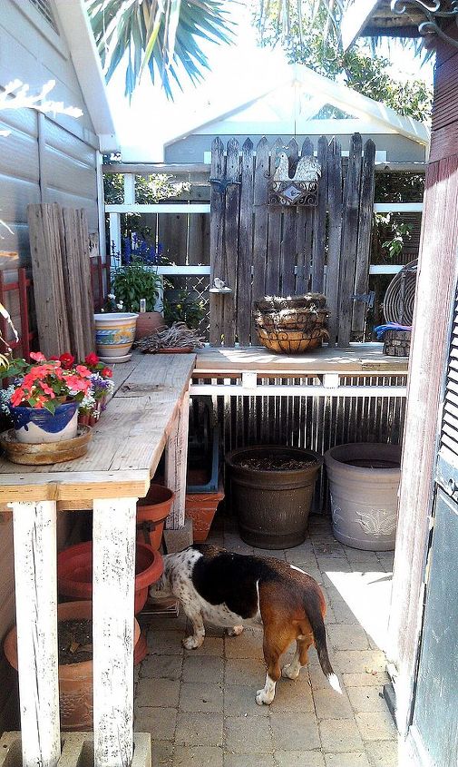 potting table from 100 reclaimed items, gardening, painted furniture, pallet, repurposing upcycling, Now this unused area between my aviary and workout cabana has new life