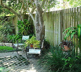 shade garden 2 east garden, gardening, A little sitting area among grasses begonias and dracena under the wax leafed ligustrum tree