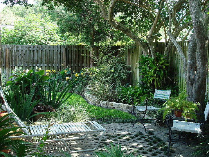 shade garden 2 east garden, gardening, Planted a living rug of dwarf mondo between the chairs and lounge