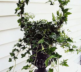 how to create a topiary from a wire hanger this project is simple and easy, gardening, Create Your Own Topiary