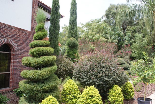 casa nalini has several hundred topiaries throughout the grounds i designed the, gardening