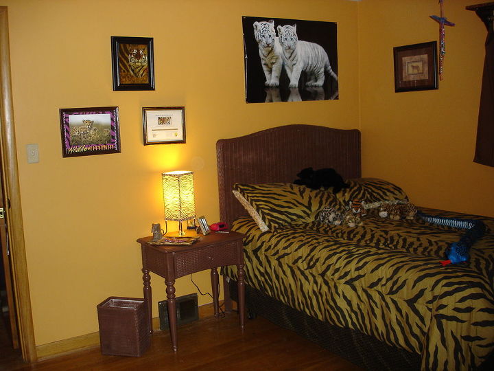 erins room makeover she s 10 and has always loved animals, bedroom ideas, home decor