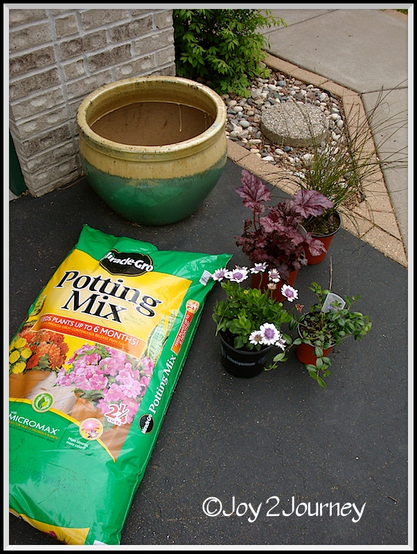 plantando um canteiro de flores
