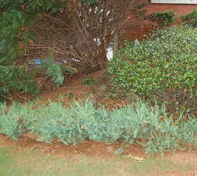 here are some before and during and after photos of a garden i installed this, gardening, Before