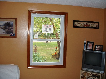 vinyl window installations, Type caption up to 250 characters