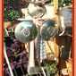 this is rambling rosie she was my awesome lady scarecrow that my dear sweet hubby, crafts, gardening, Rambling Rosie