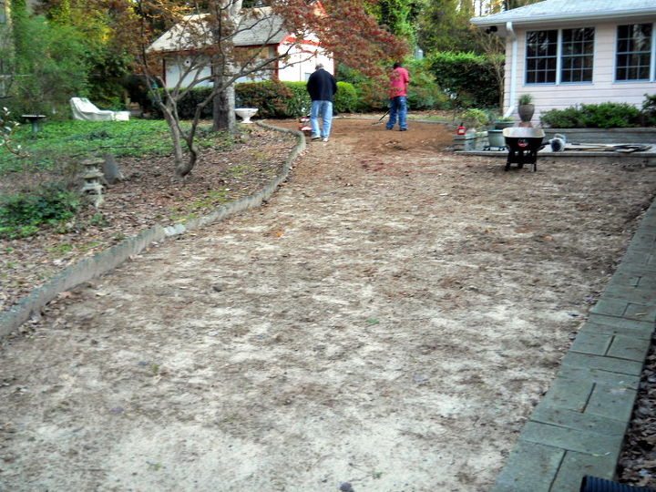 another palisades zoysia before amp after i really love this grass, gardening, landscape