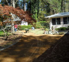 another palisades zoysia before amp after i really love this grass, gardening, landscape