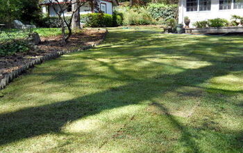 Another Palisades Zoysia before& after...I really love this grass;-)