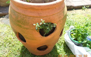 Strawberry container ideas to plant.....