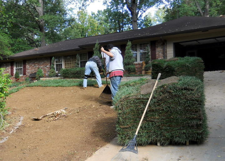 mr reeves requested a step by step on a recent fescue sod installation, flowers, gardening, landscape