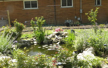 Our recycled pond