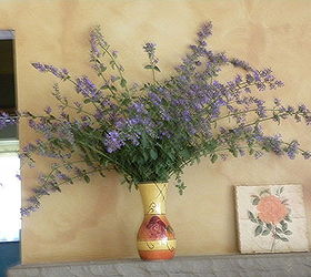 some russain sage i harvested today they are huge this year, home decor