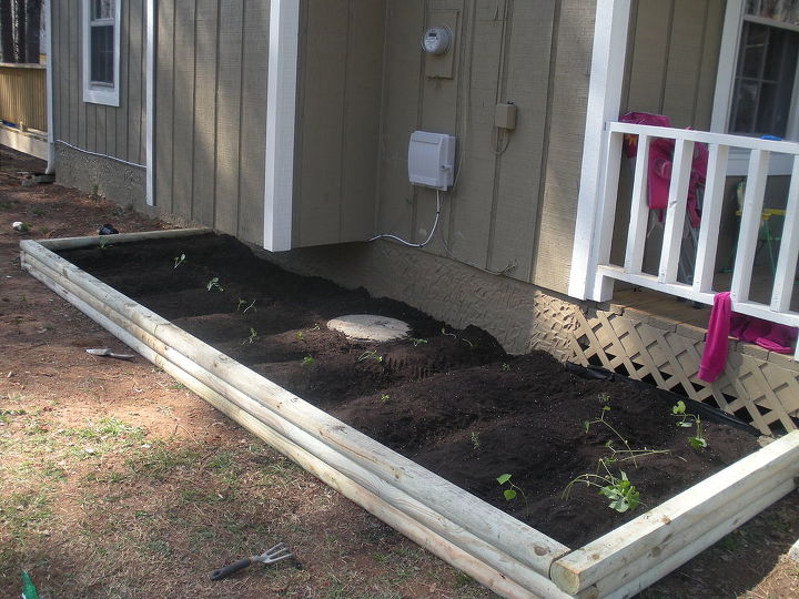 raised garden bed, gardening, raised garden beds, woodworking projects, finished project