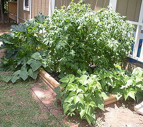 raised garden bed, gardening, raised garden beds, woodworking projects