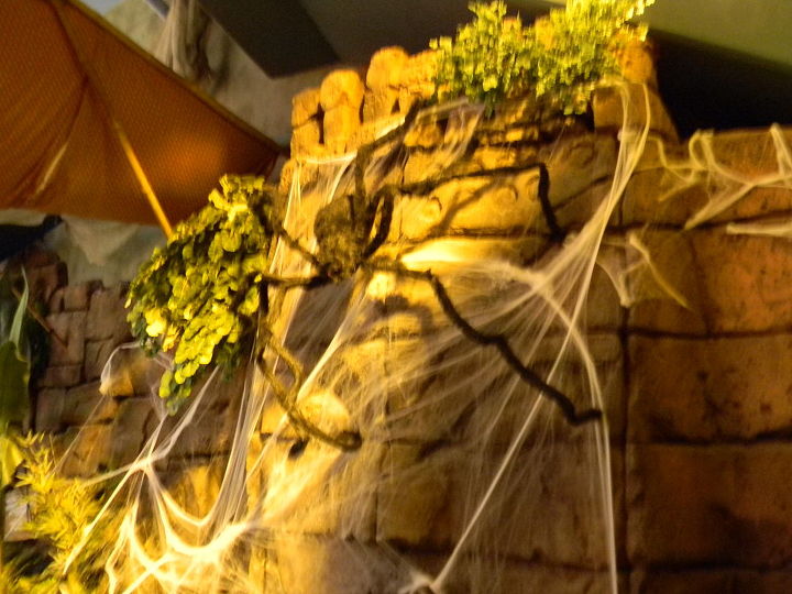 halloween decoration ideas i am sure most of you have amazing themes set up already, home decor, Large Spider in Web
