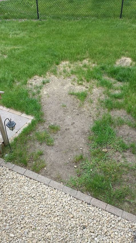 q seeking advice for this problem area, gardening, landscape