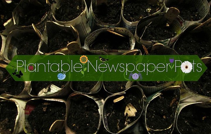 plantable newspaper pots, gardening, repurposing upcycling, These pots can go right in the ground when you re ready to plant