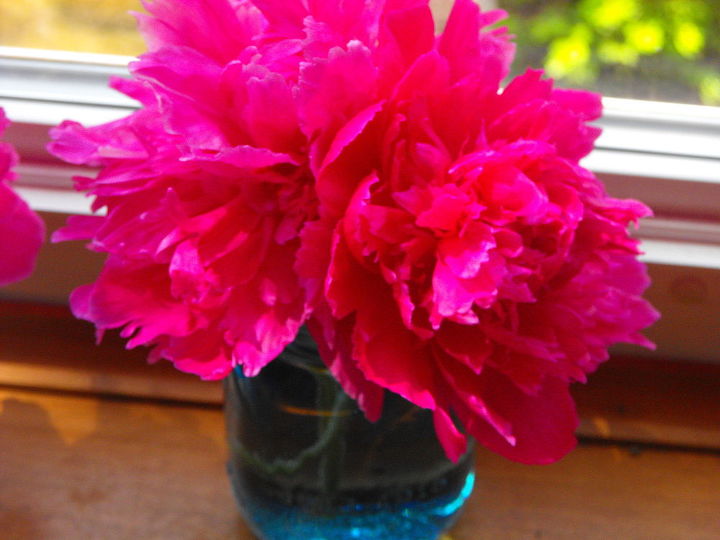 spring, container gardening, easter decorations, flowers, gardening, seasonal holiday d cor, Blooms from my Peony bush