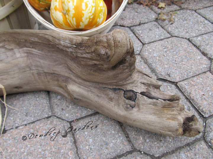 projects galore but furniture is on hold, What do you think this old piece of driftwood looks like