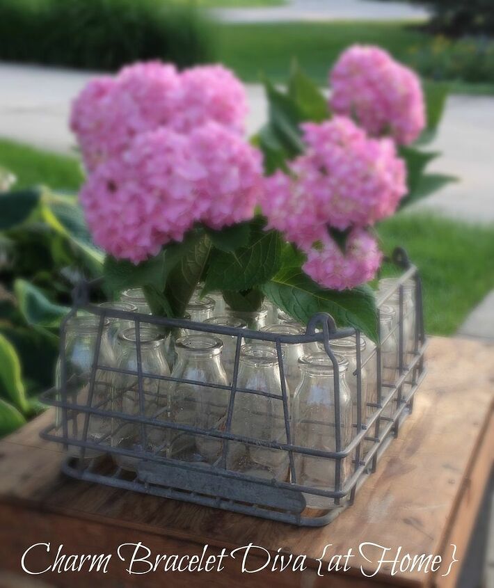 hydrangeas and vintage milk bottles crates for decorating, flowers, gardening, hydrangea, repurposing upcycling, More bottles more blooms