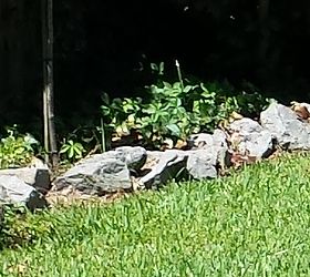 ideas needed for using rocks in backyard, gardening, landscape, What can I do with these rocks