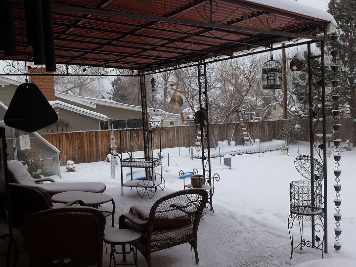 spring gardening in littleton colorado, gardening, This morning everything is covered all will be fine