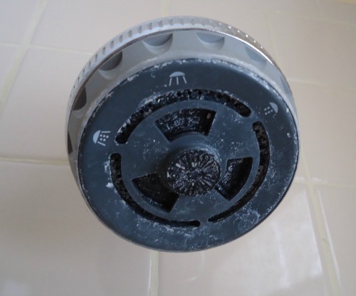 how to make a dirty showerhead look like new again, cleaning tips, Before Yikes