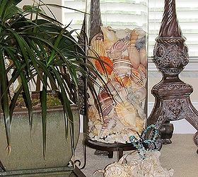 shells al a more shells in glass cylinder, home decor, outdoor living