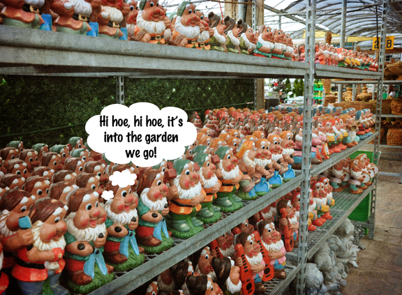 weigh in garden gnomes are they cute or tacky, gardening, outdoor living, Based on the row upon row of gnomes at this garden centre someone must be buying them