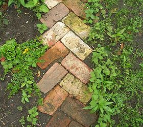 recycled garden, Recycled Brick Pathway