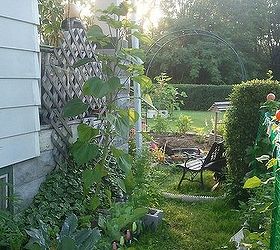 cinder block gardening, gardening, A look from the inside