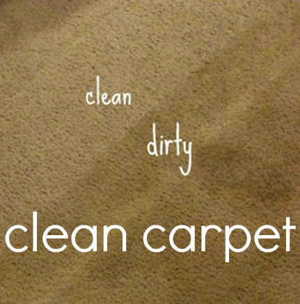 all natural cleaning, appliances, home maintenance repairs, organizing, naturally clean your carpet