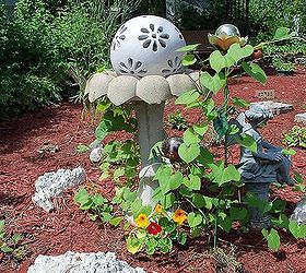 my secret garden in july, flowers, gardening, hibiscus, perennials, raised garden beds, Nasturtium and Spanish Flag vines growing around birdbath