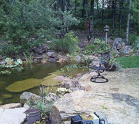 outdoor living water garden, outdoor living, patio, ponds water features
