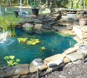 first pond ever, outdoor living, patio, ponds water features, pond