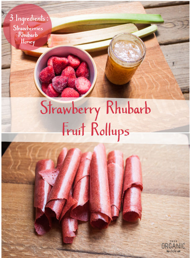 homemade 3 ingredient strawberry rhubarb fruit rollups, homesteading