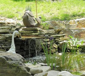 just updating pictures from last years pond project, outdoor living, ponds water features, not a great shot but I am leaving it because I ve spent HOURS trying to load better ones that seem to vanish once they are complete