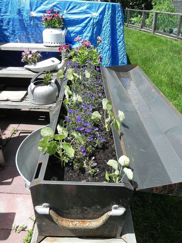 my gardentour, gardening, outdoor living, Tool tray of Lobelia and Nasturtium