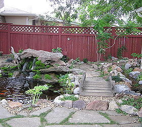 water gardening ponds water features waterfalls koi ponds outdoor lifestyles, outdoor living, ponds water features, The moss on the rock with the waterfall is a beautiful addition to the is Colorado pond
