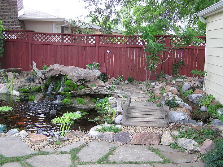 water gardening ponds water features waterfalls koi ponds outdoor lifestyles, outdoor living, ponds water features, The moss on the rock with the waterfall is a beautiful addition to the is Colorado pond