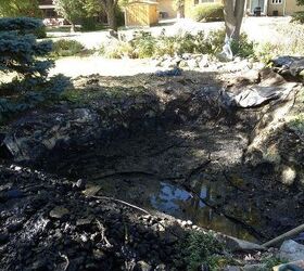 pond rehab medinah il, outdoor living, ponds water features, Just plain nasty right now