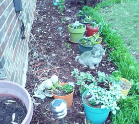 getting things ready for spring, gardening, These are my colorful pots sitting in the rain to liven up before we hang them