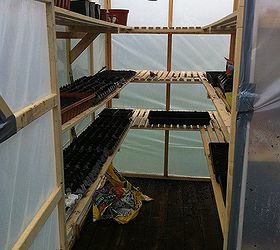 150 greenhouse, diy, gardening, homesteading, Here is the inside of the completed greenhouse Those were a few of our garden starts We live in Oregon and the weather has not been crop friendly the past few years