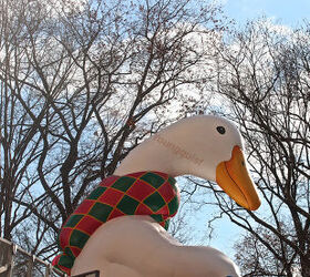 id needed re characters in entertainment, seasonal holiday d cor, thanksgiving decorations, An unidentified bird marches flies in Macy s 2013 Thanksgiving Parade View One at CPW