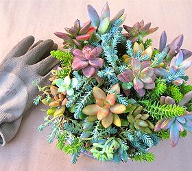 diy succulent dish garden repurpose, crafts, flowers, gardening, succulents