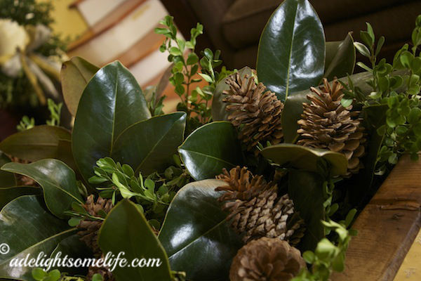 my experiences with bleaching pinecones, christmas decorations, crafts, seasonal holiday decor